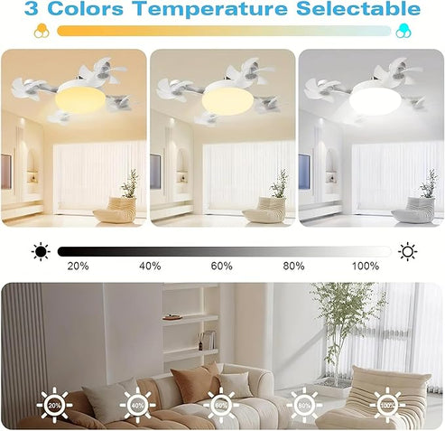 Multifunctional Fan Light