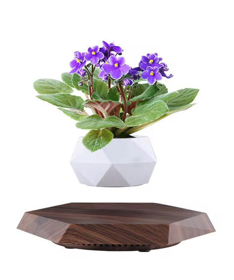 Levitating - Floating Flower Pot with Wood Base ©
